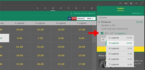 g/c bet365|Ganador y Colocado: Qué son y Cómo hacer apuestas a 'G/C'.